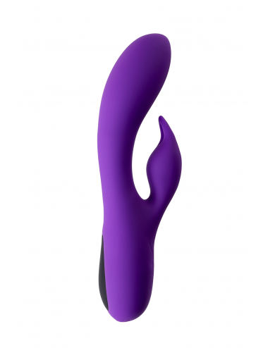 DUAL VIBRATOR VIOLET V2