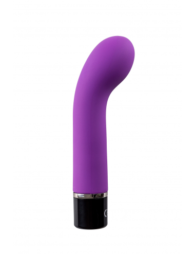 G-SPOT POWER BULLET VIOLET V4