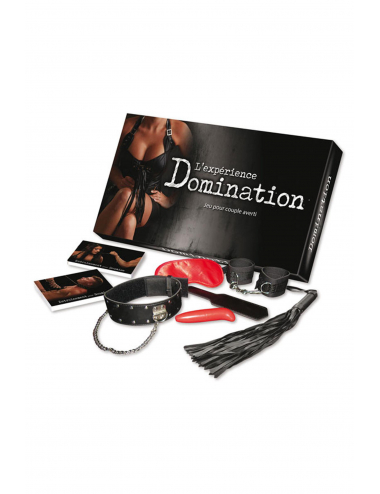 JEU ADULTE DOMINATION