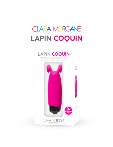 Petits coquin : Lapin Coquin