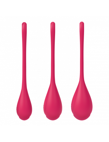 Boules de Geisha Satisfyer...