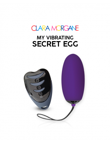 My Vibrating Secret Egg Violet