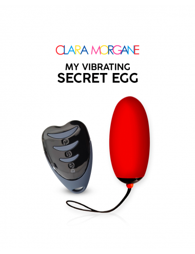 My Vibrating Secret Egg Rouge
